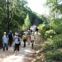 Passeio pedestre: "O Desafio da Arrábida"