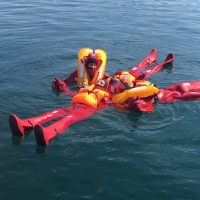 GWO-BST/BSTR - Sea Survival