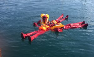 GWO-BST/BSTR - Sea Survival